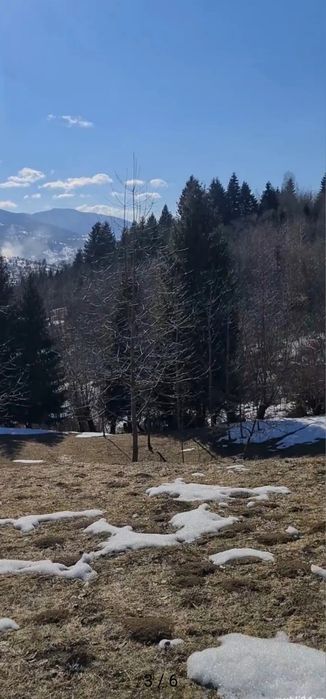 Teren intravilan,intabulat,Borsa Maramures 3900mp 50000€