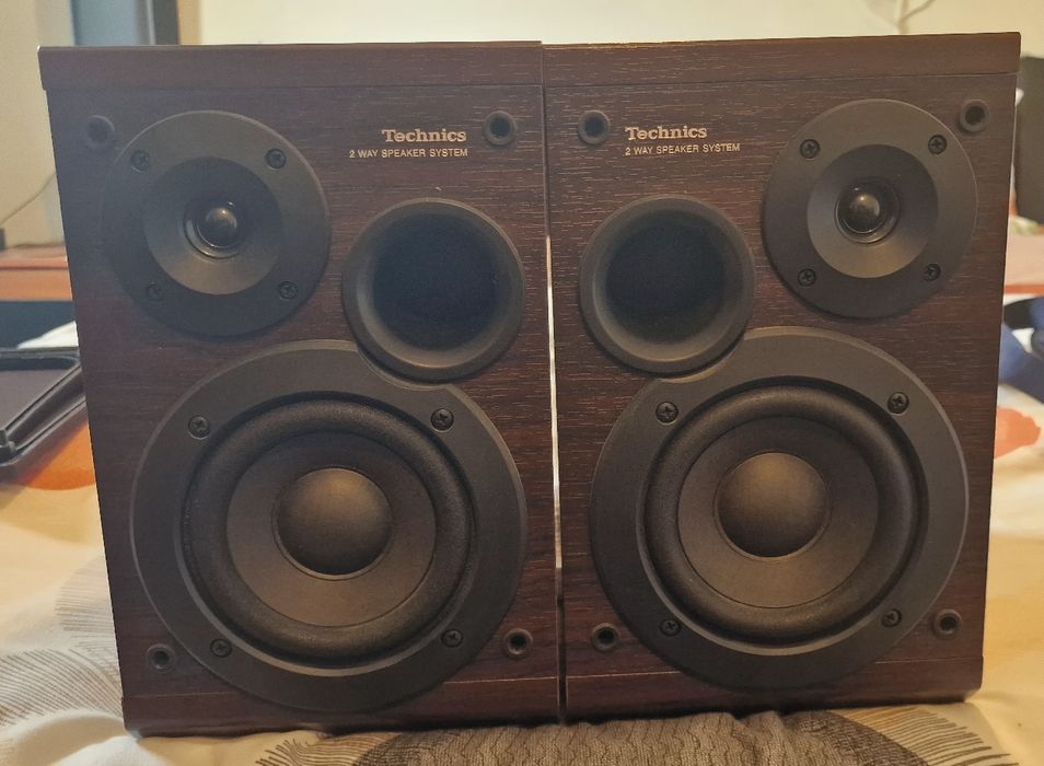 Technics Speakers SB HD501  BiWire