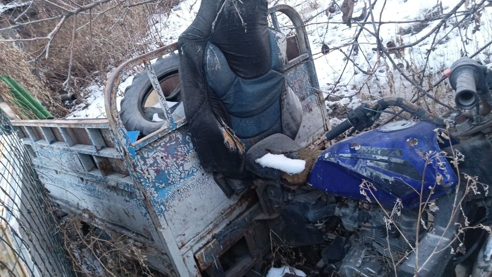 Мотороллер муравей трицикл