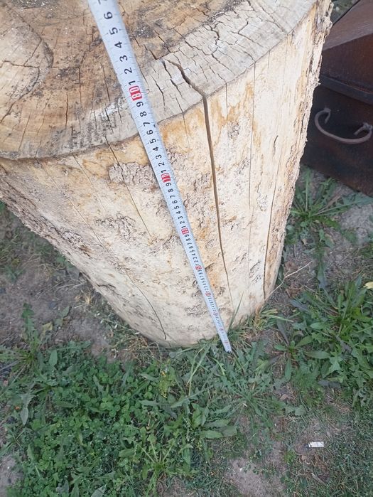 Продам пень для рубки мясо