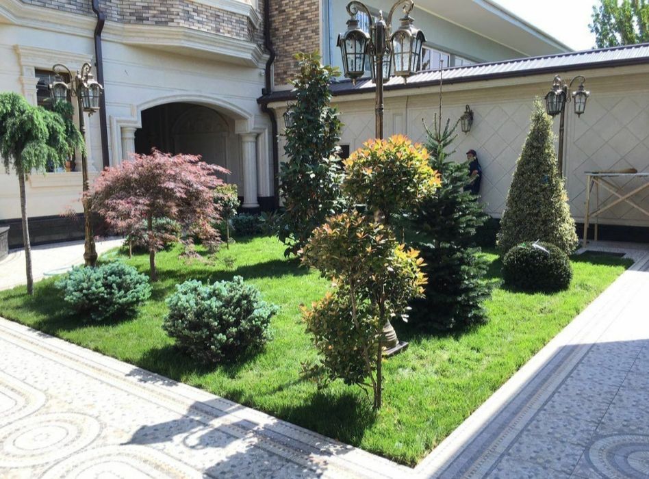 Gazon pirttinka landshaft vadapad