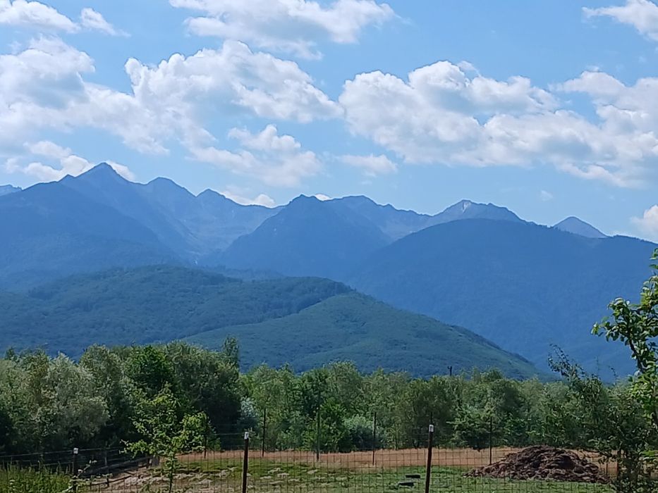 Teren de vânzare  in zona Transfăgărășan