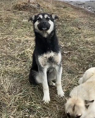 Пацанчик – не хулиганчик