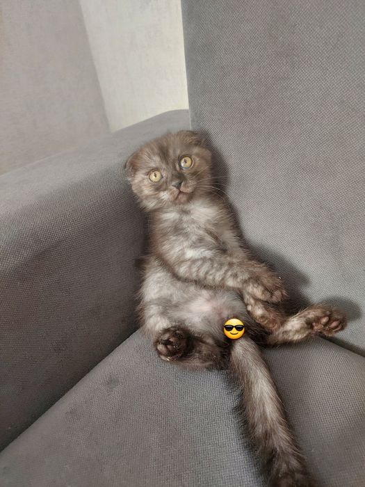 Мальчик 2 месяца