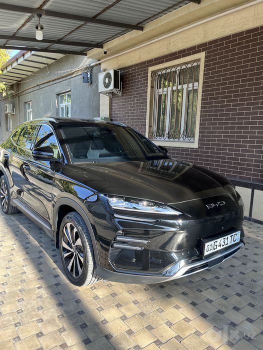 BYD chempion full 605
