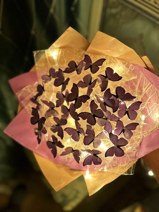 Букет из бабочек