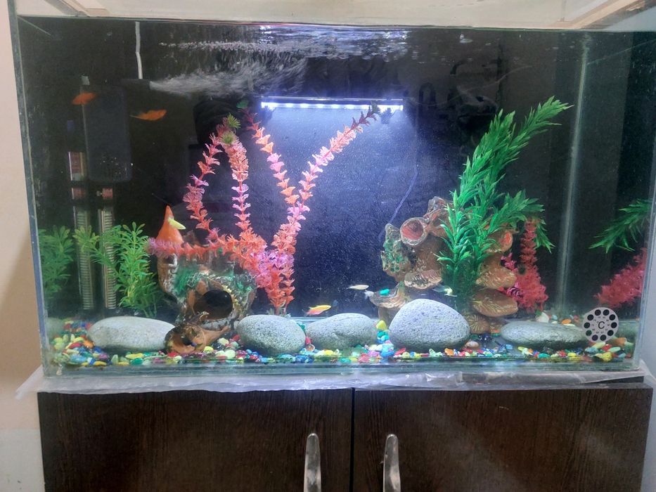 Аквариум комплект+мебел билан сотилади, баликлари ва хамма аппаратлари