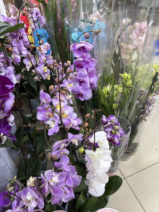 Цветы на 8 марта