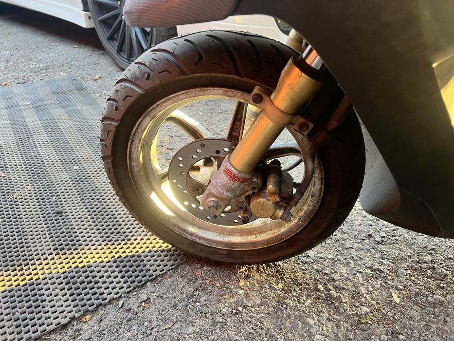 Suzuki ZZ Inch Up Sport, 12’’
