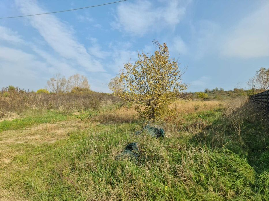 teren Bucium(intravilan Iași) 791 mp + 118 mp(cale acces) - Lidl