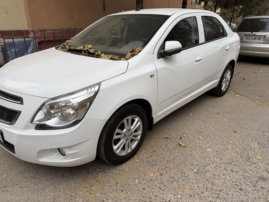 Кобилт 2016 йили