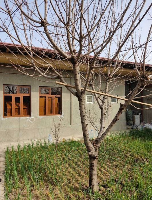 Solnichniy tarfda qulay boʻlgan kottejlar qatorida 6 sotix