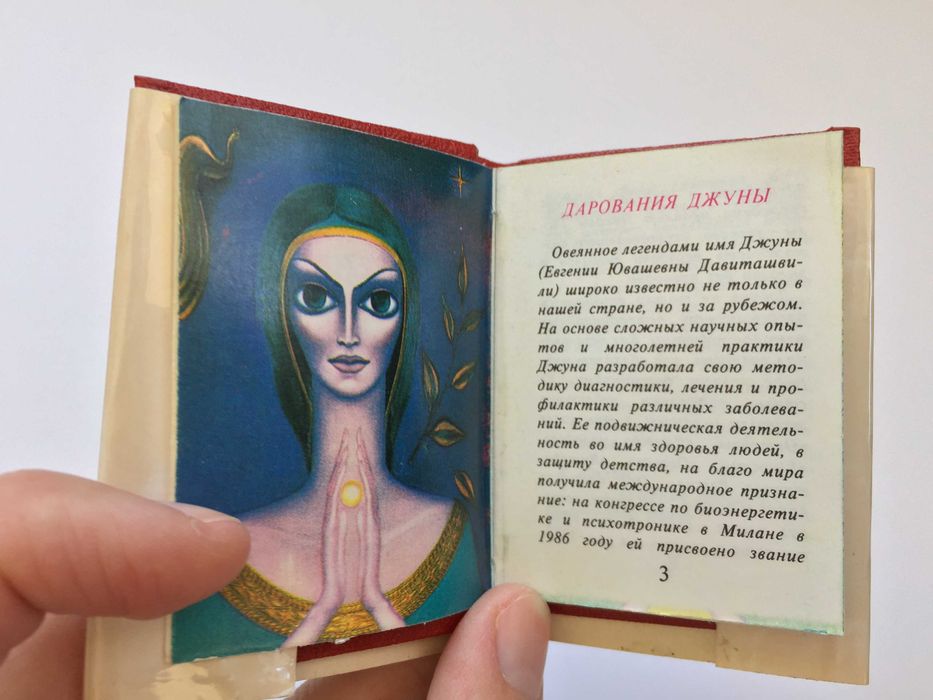 Джуна Поэзия и живопись Книга-миниатюра