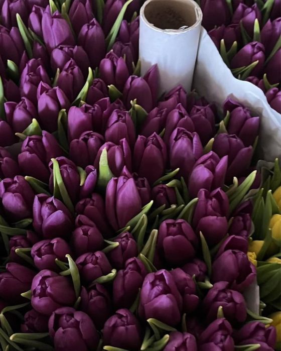Тюльпаны на корпоративные заказы