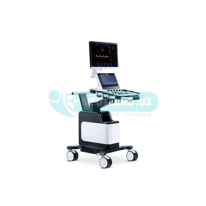 Стационарный УЗИ аппарат Danus 30