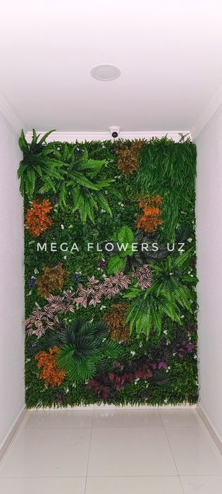 Yashil devor (Мох) Yetkazib berish.