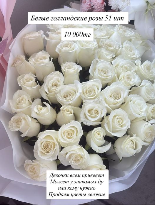 Розы цветы свежие