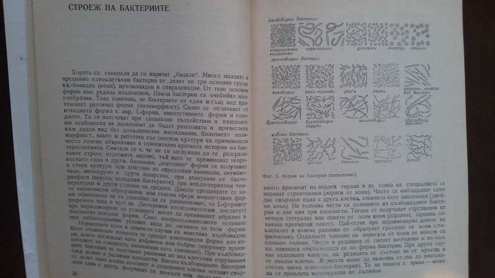 Книги за биология медицина: „Милиарди микроби“ – Курт Е.Линднер