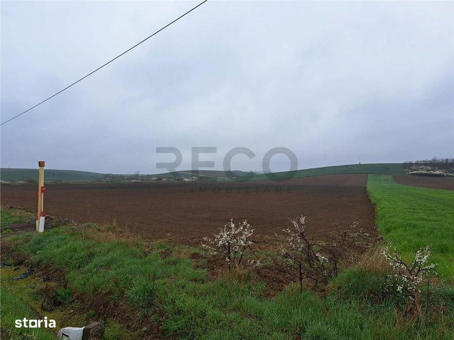 RECO teren Ghenetea 7800mp