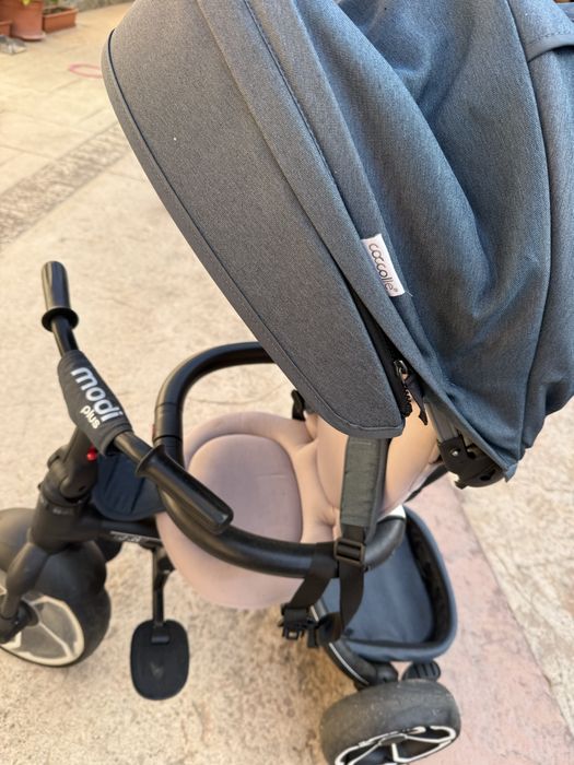 Carucior + tricicleta