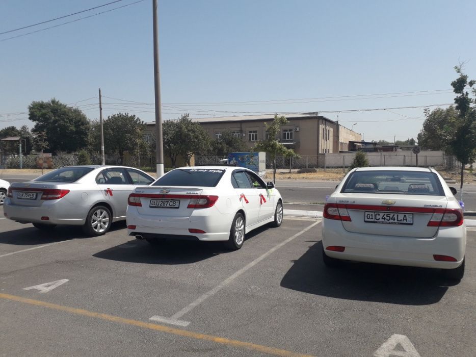 Туристические перевозки по всему Узбекистану