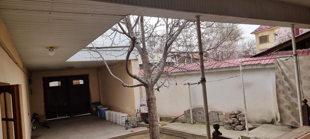 Тезда, арзон нархда 2.26 Сот. ҳовли