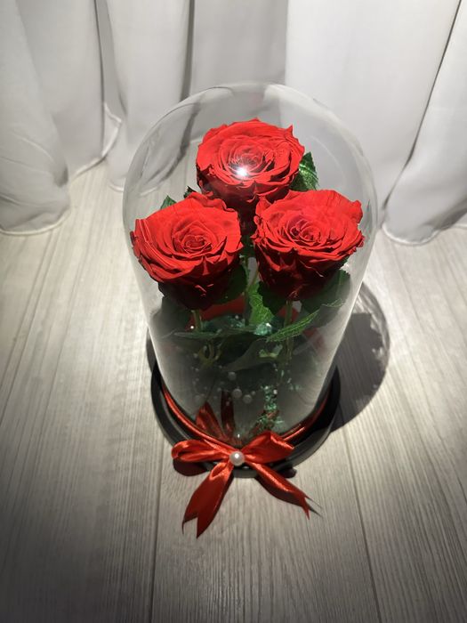 Cupola cu 3 trandafiri criogenati