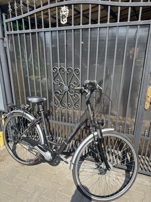 Vand bicilcleta Raleigh