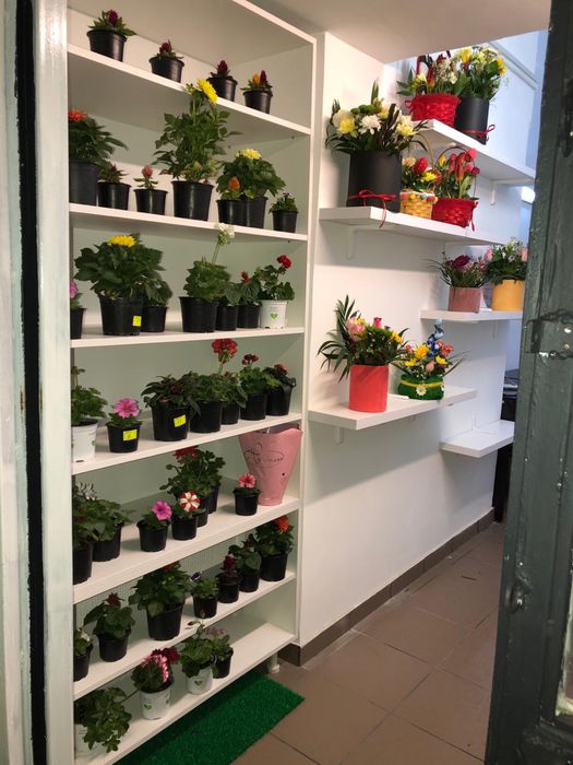 Vand mobila florarie