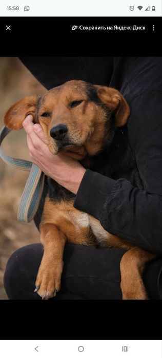 Кому.ОхРаниКи,кОмпаНьеНы,сТорожа