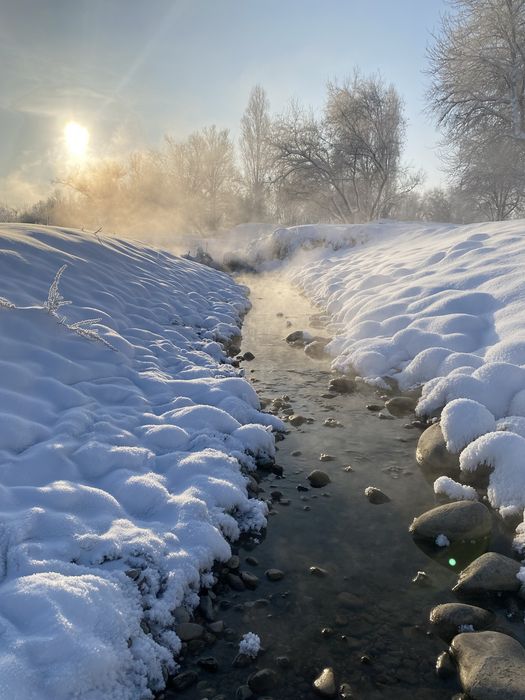 Аренда загородного домика