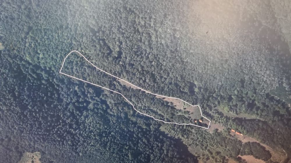 Vand casa batraneasca cu teren si padure