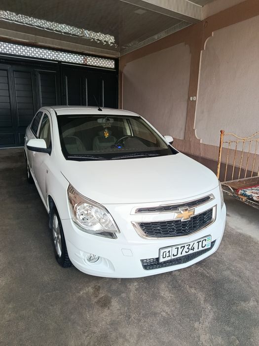 Cobalt 2024 краска тозза