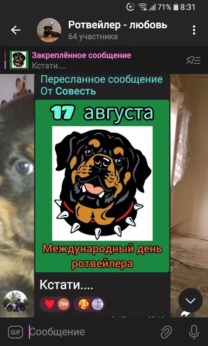 Продаются щенки ротвейлера.