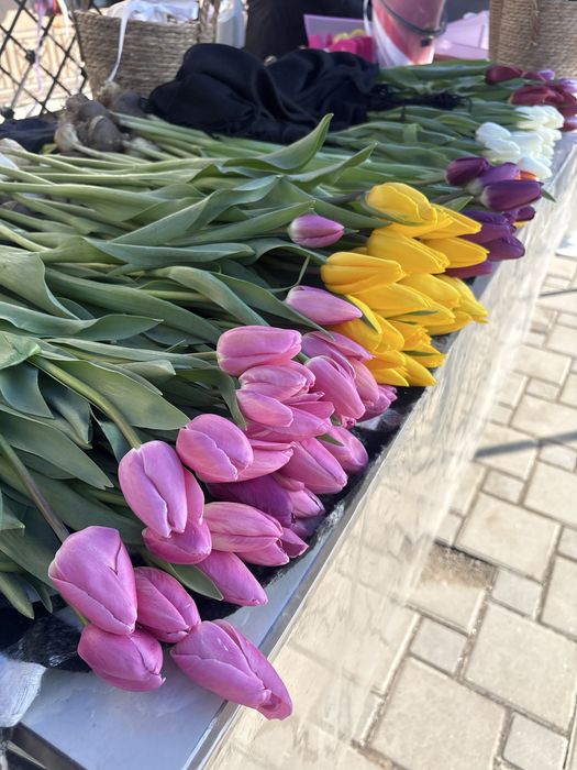 Тюльпаны Оптом по 400 ТЕНГЕ!Алматы