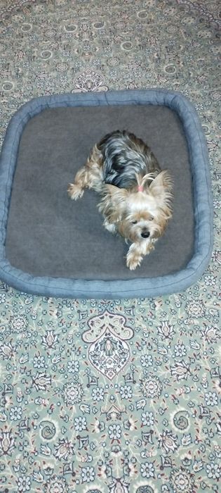 Лежанки эксклюзивные