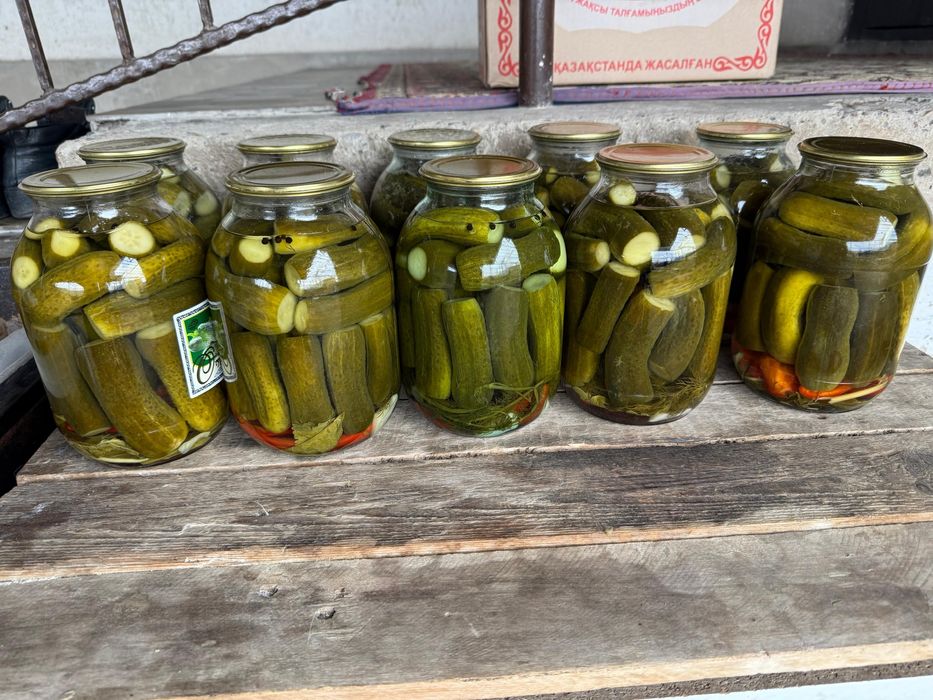 (солёные огурцы). 20 банка огурцы