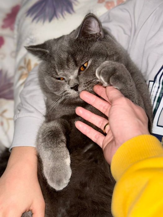 Mushuk Sotilmaydi Vyazka uchu .