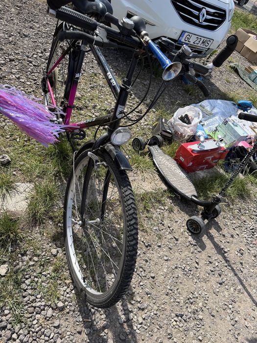 Bicicleta  adulti