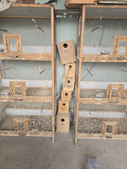 Дуплянки для попугаев