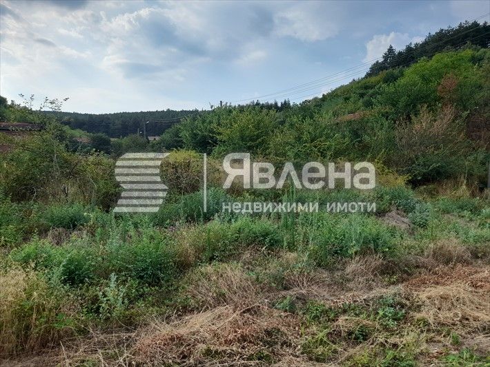 Продава се Парцел в с. Дебръщица, Област Пазарджик - 946 кв.м за 40 €/кв.м - Снимка #3