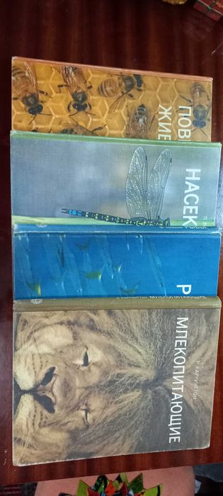 Мир природы - удивительное о животных