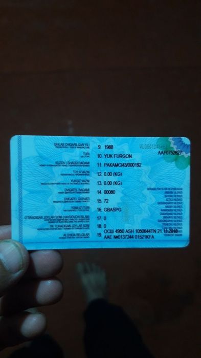 AVIA 31 idial xolatda