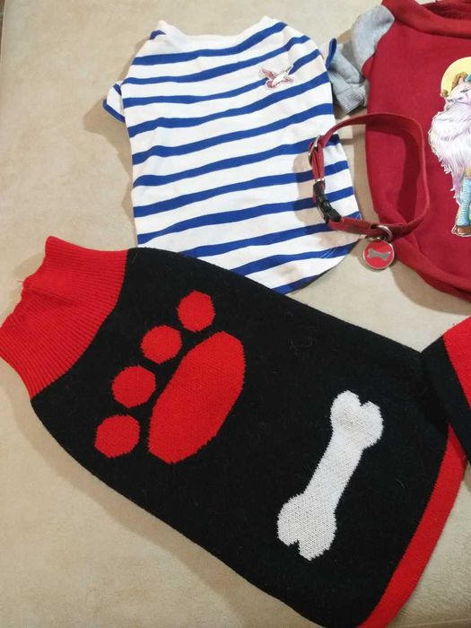 Маечки и свитерочки на мопса