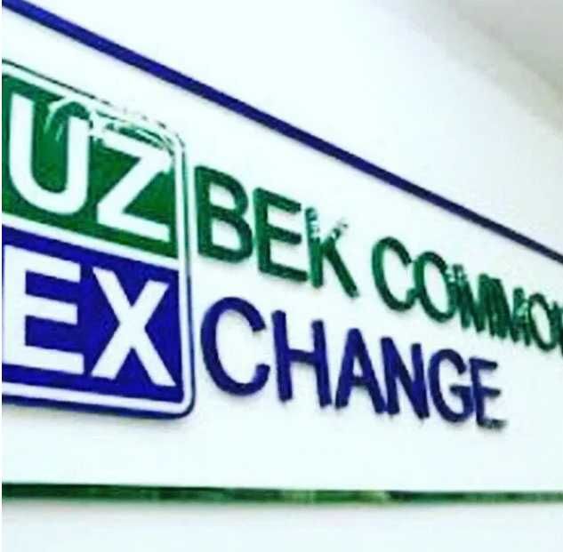 Помощь на UzEx / XT-Xarid / Cooperation — Брокер 2025