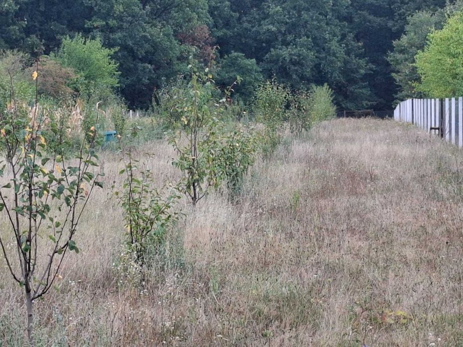 Teren  4033mp  Tg Cărbunești intravilan/extravilan