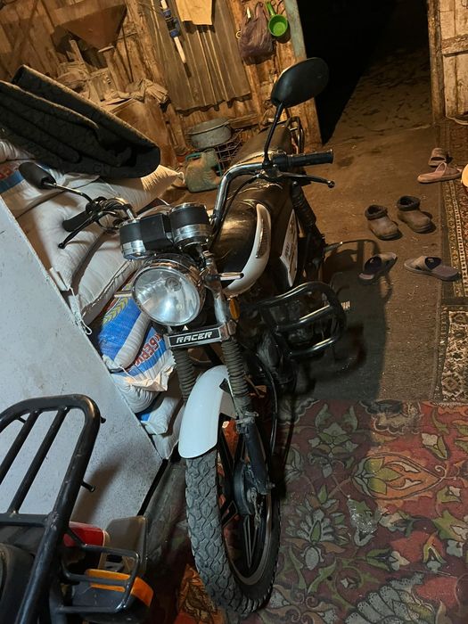 Альфа, Рейсер 110сс