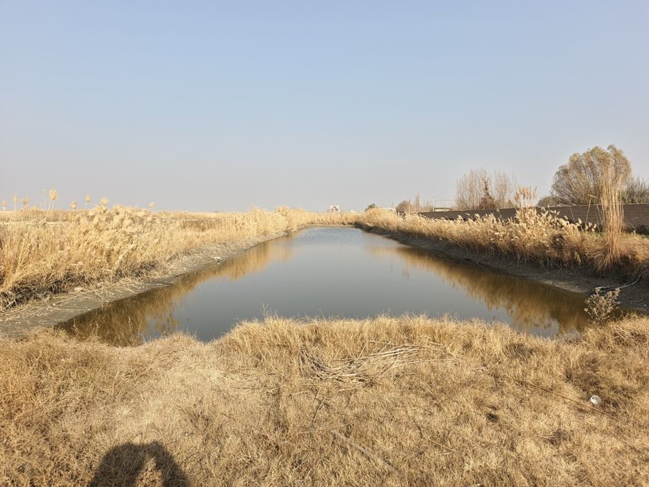 молхона сотилади 6 гектар