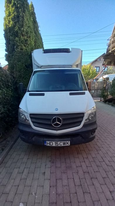 Autoutilitara Mercedes Sprinter Cub-Frig