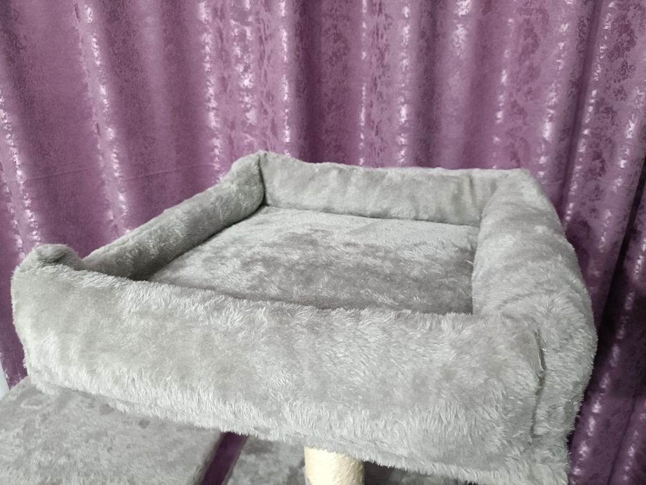 Ansamblu joaca pisici